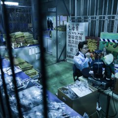 Enter the Fat Dragon Hong Kong Movie photo