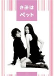 Kimi wa Petto japanese drama review