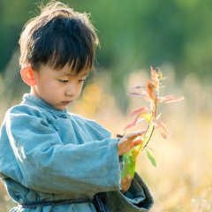 Anima Chinese Movie photo