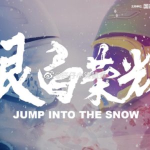 Jump Into The Snow ()