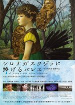 A Dance for Blue Whales