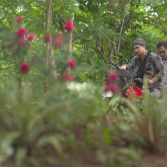 The Backride Philippines Movie photo