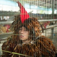 A Cockerel's Tale Taiwanese Movie photo