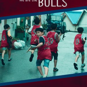 We are the Bulls (2019)