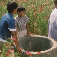 The Friends Japanese Movie photo