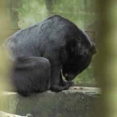 Sanctuary Korean Movie(2022) photo