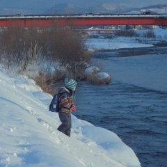 The Night I Swam Japanese Movie photo