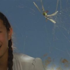 The Shower Korean Movie(1979) photo