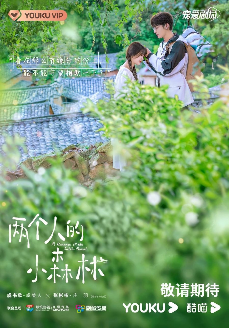 Юй Шу Синь и Чжан Бинь Бинь в постерах дорамы «Роман Маленького леса»