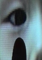 December Hide-and-Go-Seek Japanese Movie photo