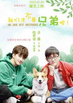 We Are Not Brothers Chinese Drama photo