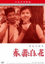 Red Buds and White Flowers Japanese Movie photo