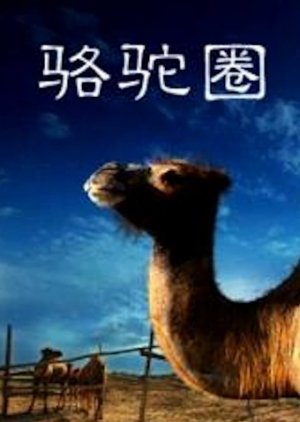 Camel Collar (2010) poster