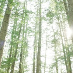 Jump Korean Movie(2021) photo