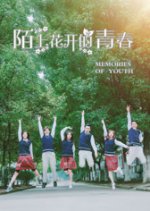 Memories of Youth Chinese Movie photo