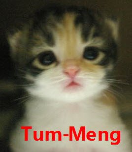 tum_meng