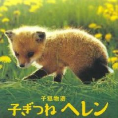 Helen the Baby Fox Japanese Movie photo