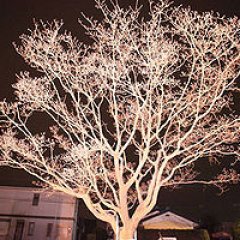 The Land of Hope Japanese Movie(2012) photo