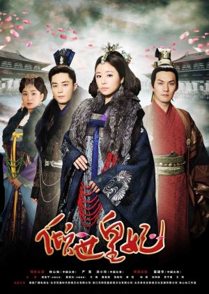 Introduction of the Princess (2011) poster