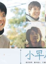 Kobayakawa Nobuki no Koi Japanese Drama photo