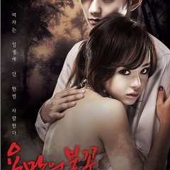 Flames of Desire Korean Drama photo