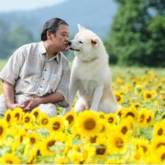 Star Watching Dog Japanese Movie photo