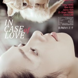 In Case of Love (2010)