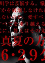 A Midsummer's Equation (2013) photo