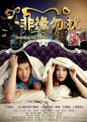 Destiny By Love (2013) poster