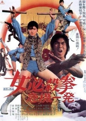 Sister Street Fighter (1974) poster