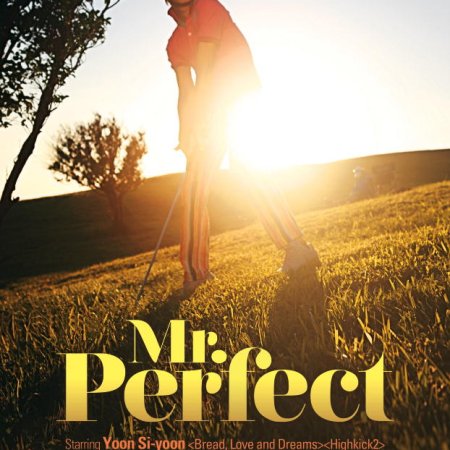Mr. Perfect (2014)