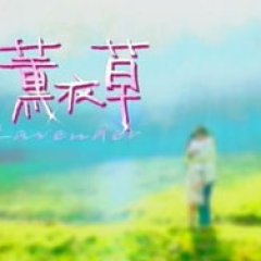 Lavender Taiwanese Drama photo