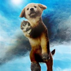 Rock: Wanko no Shima Japanese Movie photo