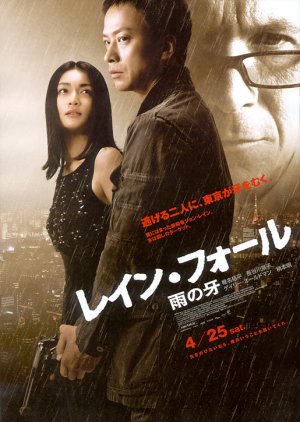 Rain Fall (2009) poster