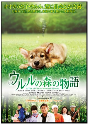 A Tale of Ululu's Wonderful Forest (2009) poster