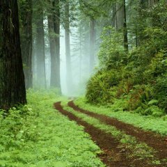 Feast of the Gods Korean Drama photo