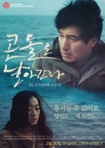 El Condor Pasa Korean Movie(2013) photo