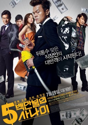 A Millionaire on the Run (2012) poster