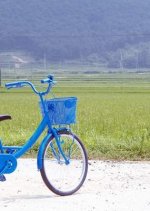 The Elephant on the Bike Korean Movie photo