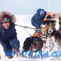 Antarctica Japanese Drama photo