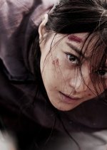 My Way (2011) photo