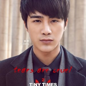 Tiny Times 2 (2013)