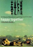 Happy Together hong kong movie review