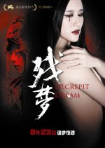 Decrepit Dream Chinese Movie(2012) photo