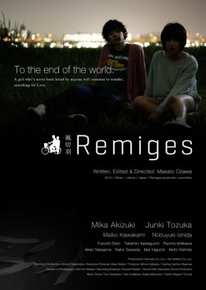 Remiges (2013) poster