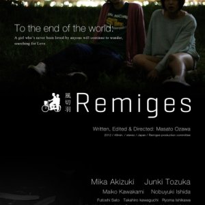 Remiges (2013)