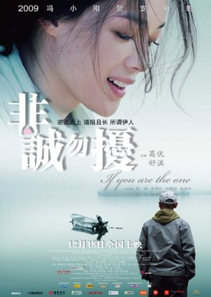 If You Are the One (2008) poster