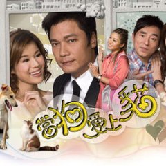 When a Dog Loves a Cat Hong Kong Drama photo