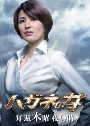 Hagane no Onna Season 2 (2011) poster