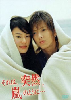 Sore wa, Totsuzen, Arashi no you ni.. (2004) poster
